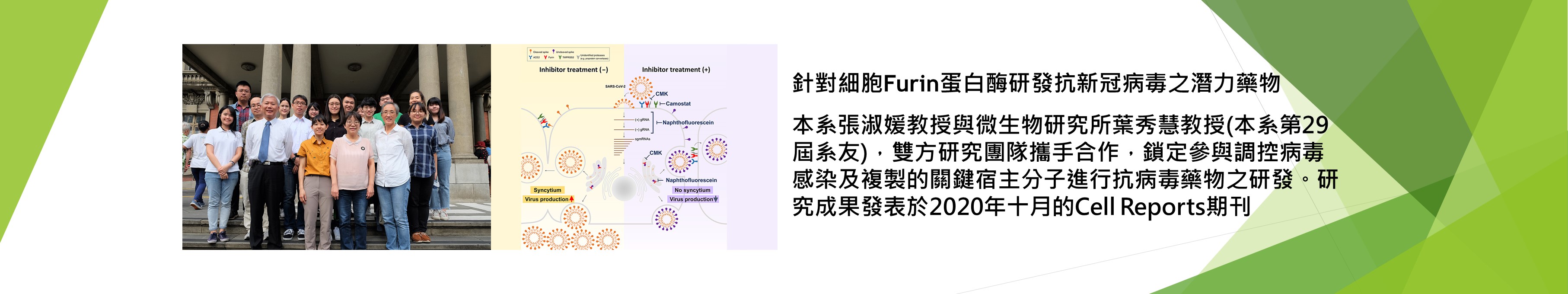 本系張淑媛教授與微生物研究所葉秀慧教授，雙方研究團隊合作，創造傑出研究成果
