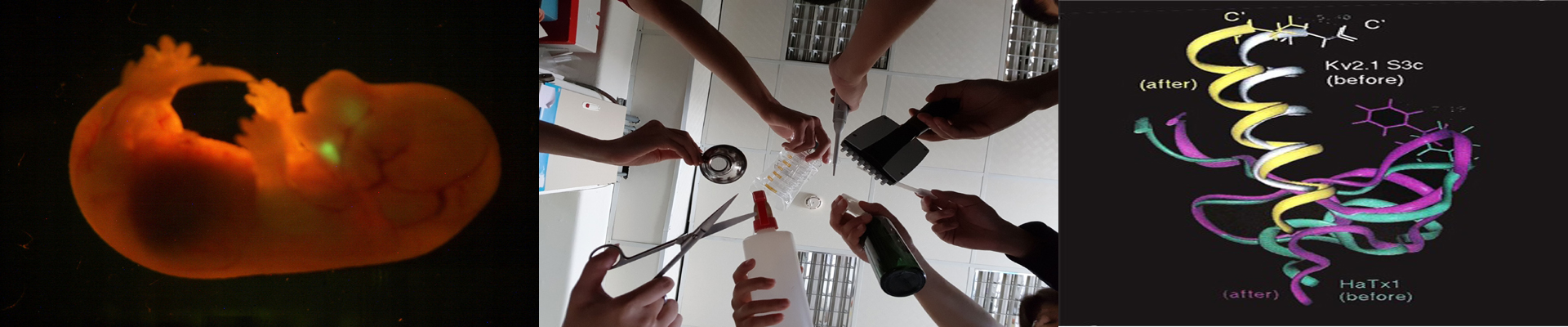 口腔生物科學研究所