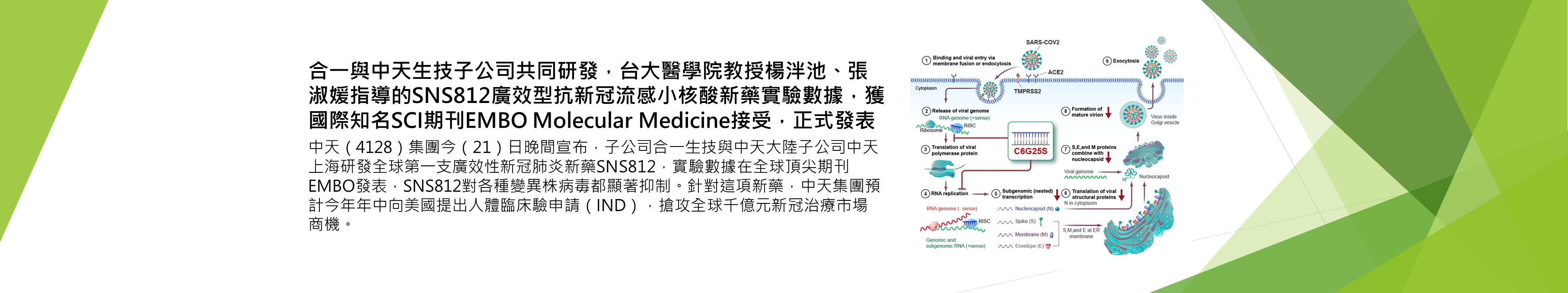 中天集團開發全球唯一廣效性新冠新藥獲國際期刊發表(本系張淑媛教授合作指導)