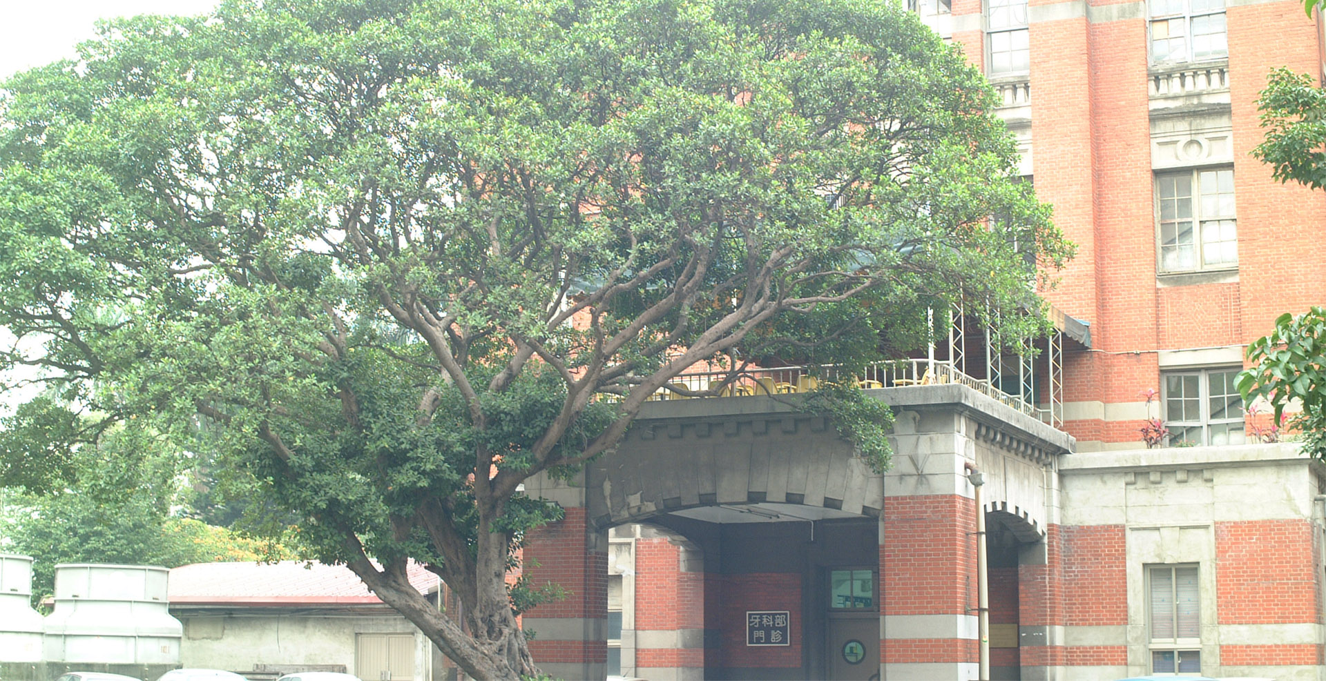 牙醫專業學院