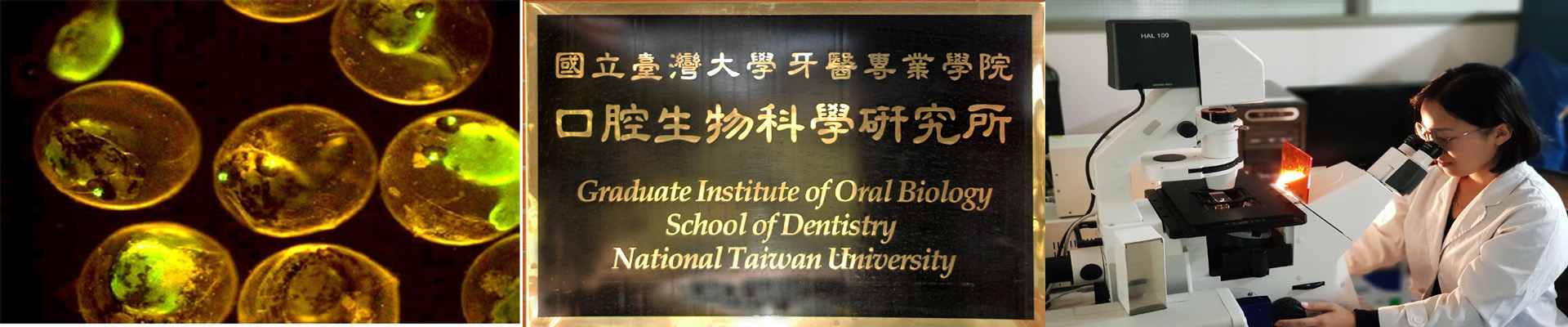 口腔生物科學研究所