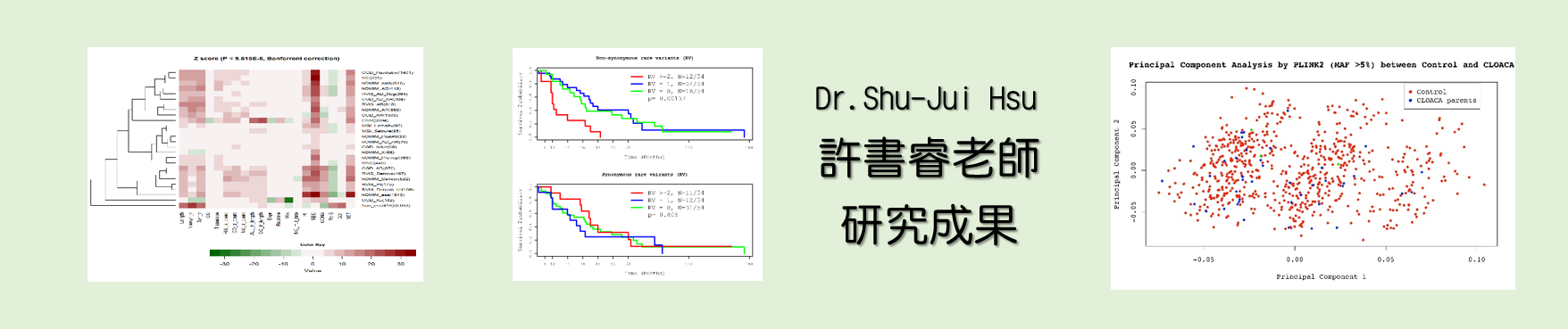 許書睿老師研究成果