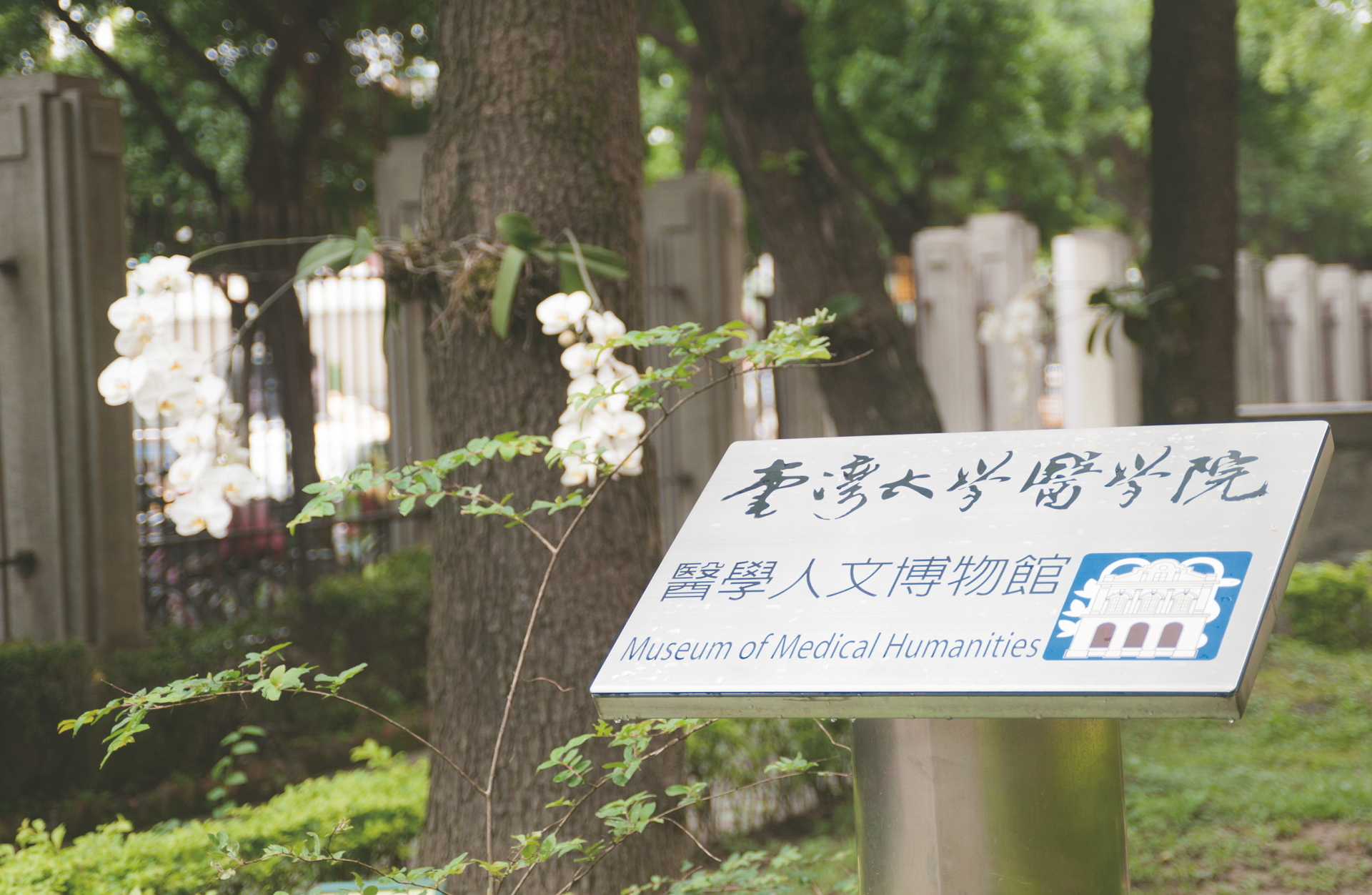 醫學人文博物館